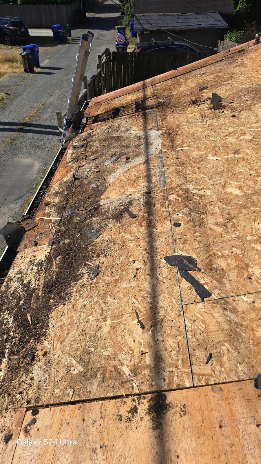 Torn-off roofing exposing wet, rotted deck boards underneath