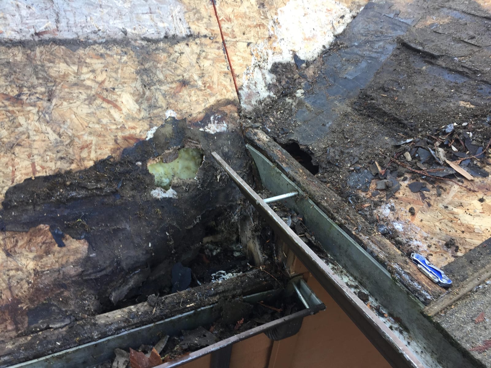 Severe rot and mold discovered under the shingles during a roof tear-off