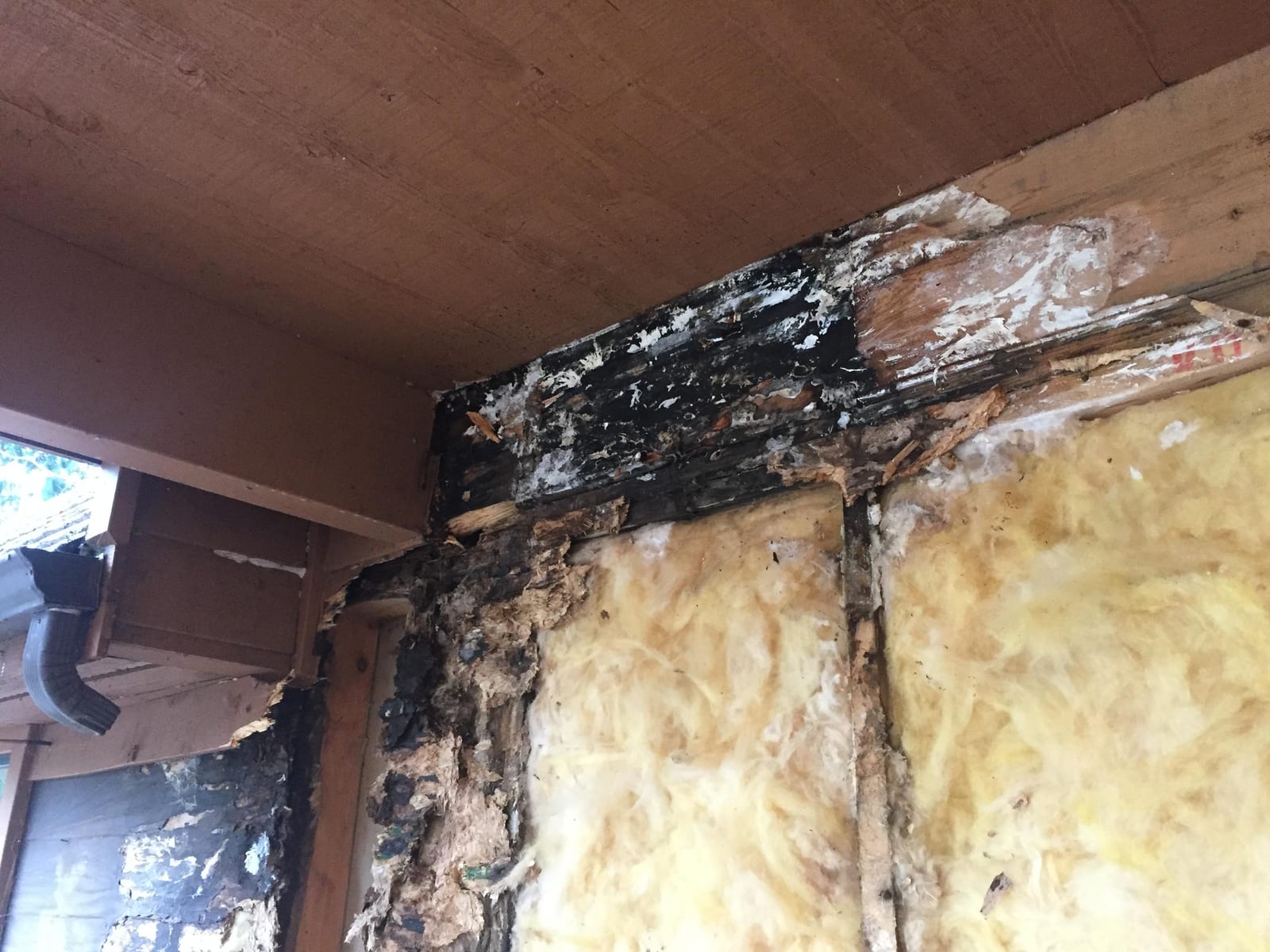 Rotted framing and damaged insulation at a wall-to-roof transition