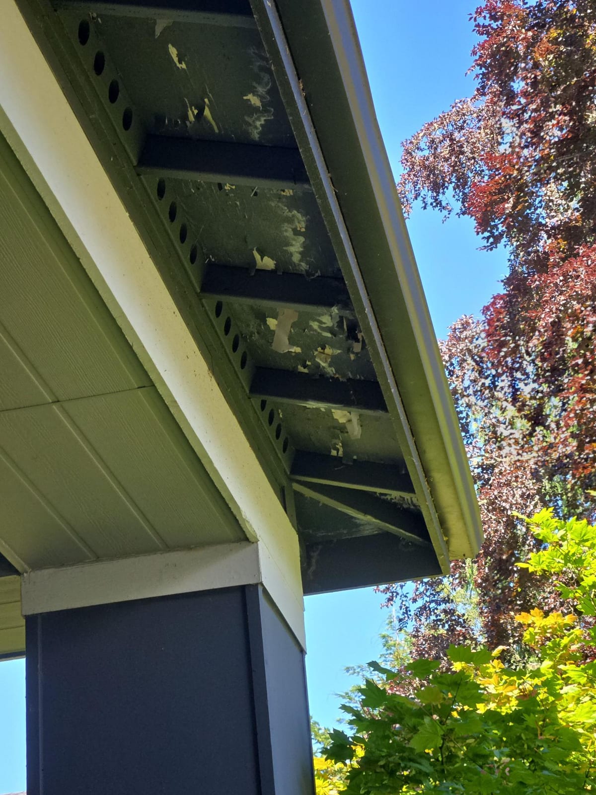 Clean new soffit, fascia, and ventilation detail after a RoofWorks Northwest reroof