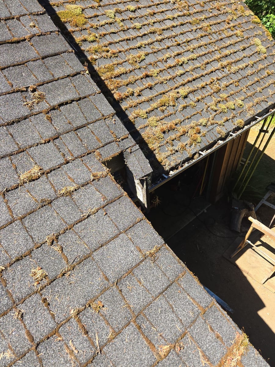 Leaves and debris accumulated in a roof valley, blocking water drainage