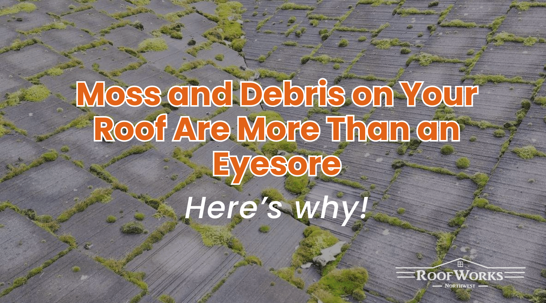 Moss and debris accumulated on an asphalt shingle roof in Everett, Washington