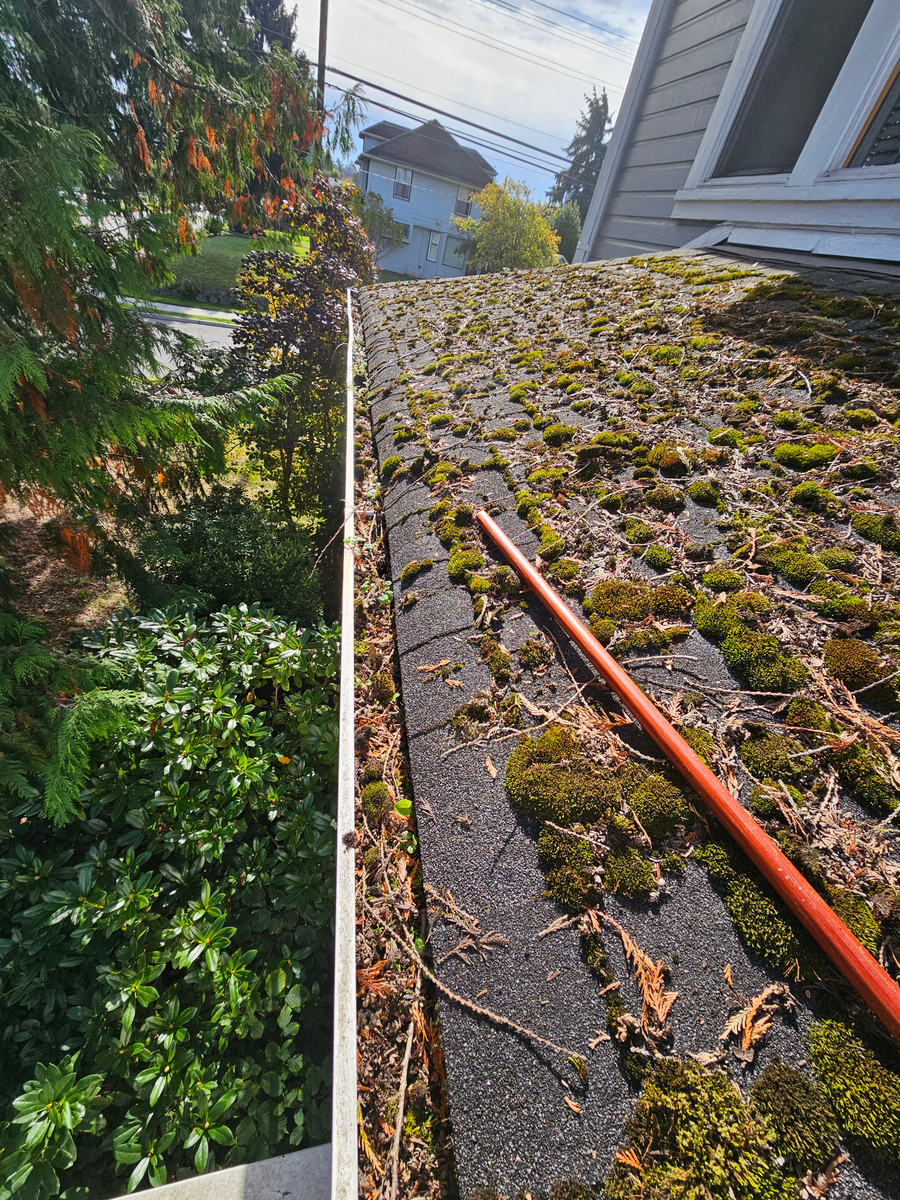 Roof repair and maintenance